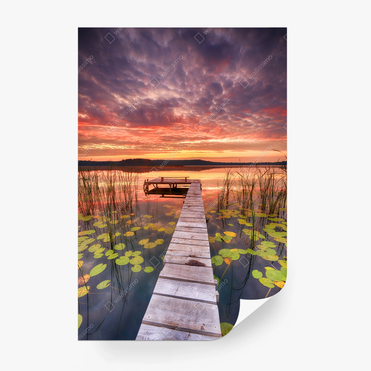 Fototapete sonnenaufgang über ruhigem see mit steg – Pixers®
