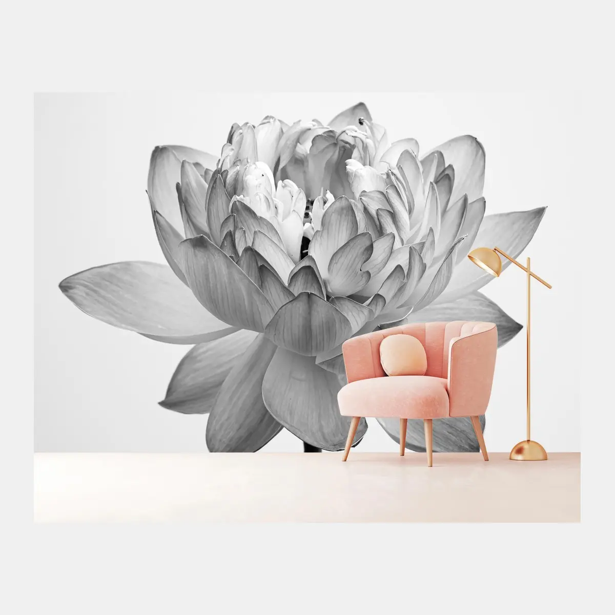 Fototapete ruhevoller lotus in graustufen – Pixers®