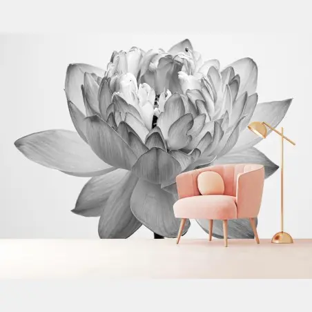 Fototapete ruhevoller lotus in graustufen – Pixers®