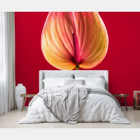 Fototapete elegantes anthurium vor rotem hintergrund – Pixers®
