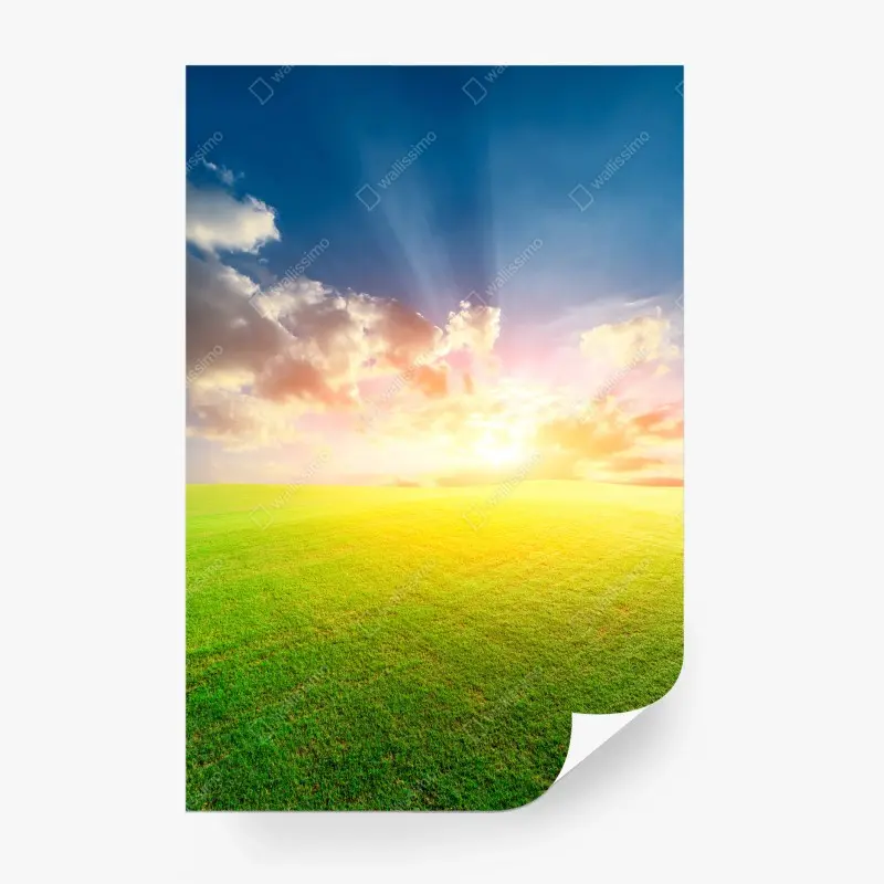Fototapete sonnenbeschienene wiese bei sonnenuntergang