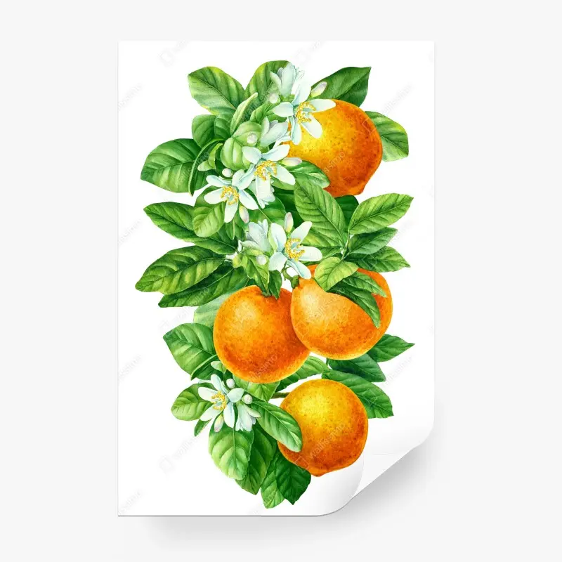 Fototapete zitrusblüten und reife orangen