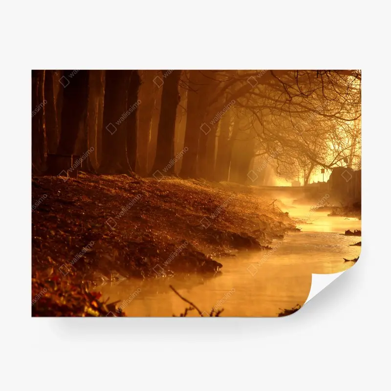 Fototapete goldener bach im nebligen wald am morgen