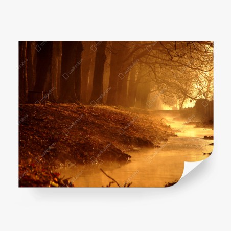 Fototapete goldener bach im nebligen wald am morgen – Pixers®