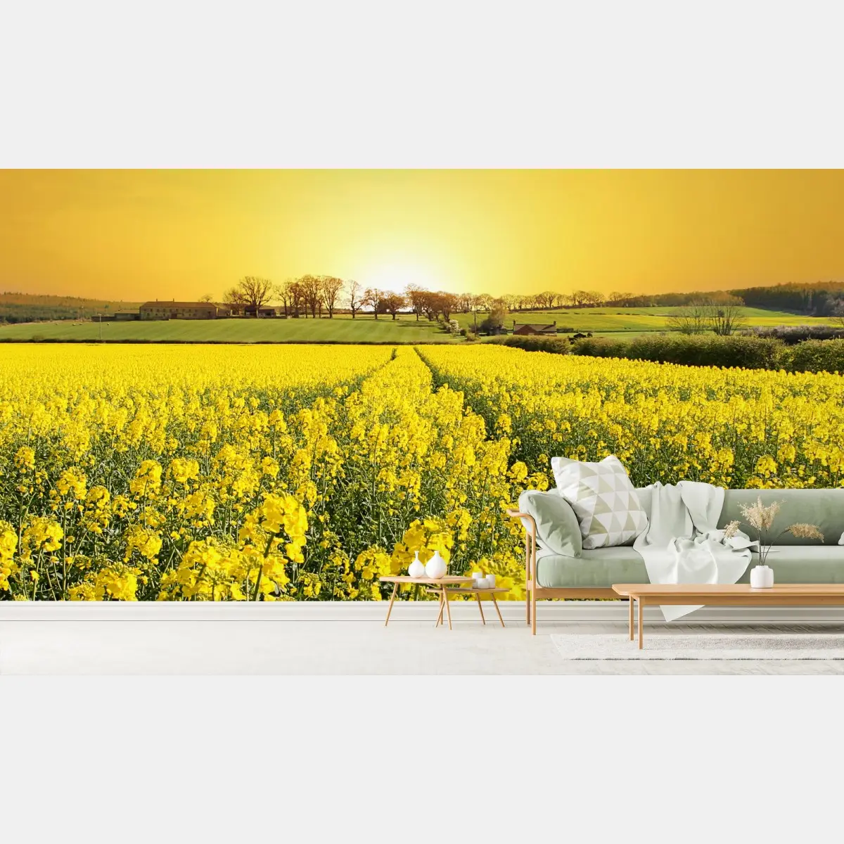 Fototapete goldenes rapsfeld bei sonnenuntergang – Pixers®
