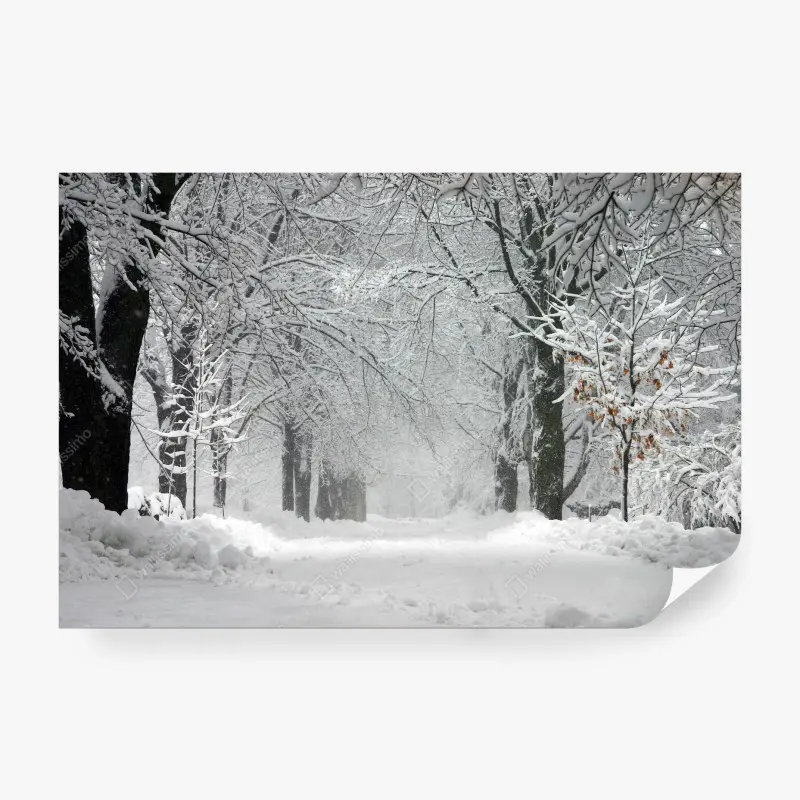 Fototapete ruhiger winterwaldweg