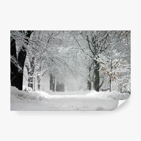 Fototapete ruhiger winterwaldweg – Pixers®