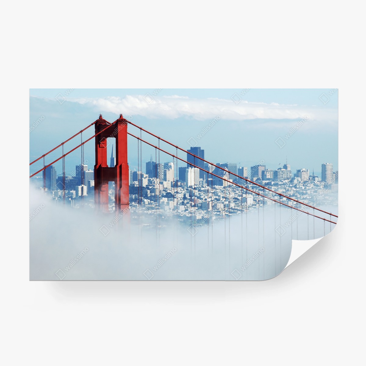 Fototapete Golden Gate im nebel über San Francisco – Pixers®