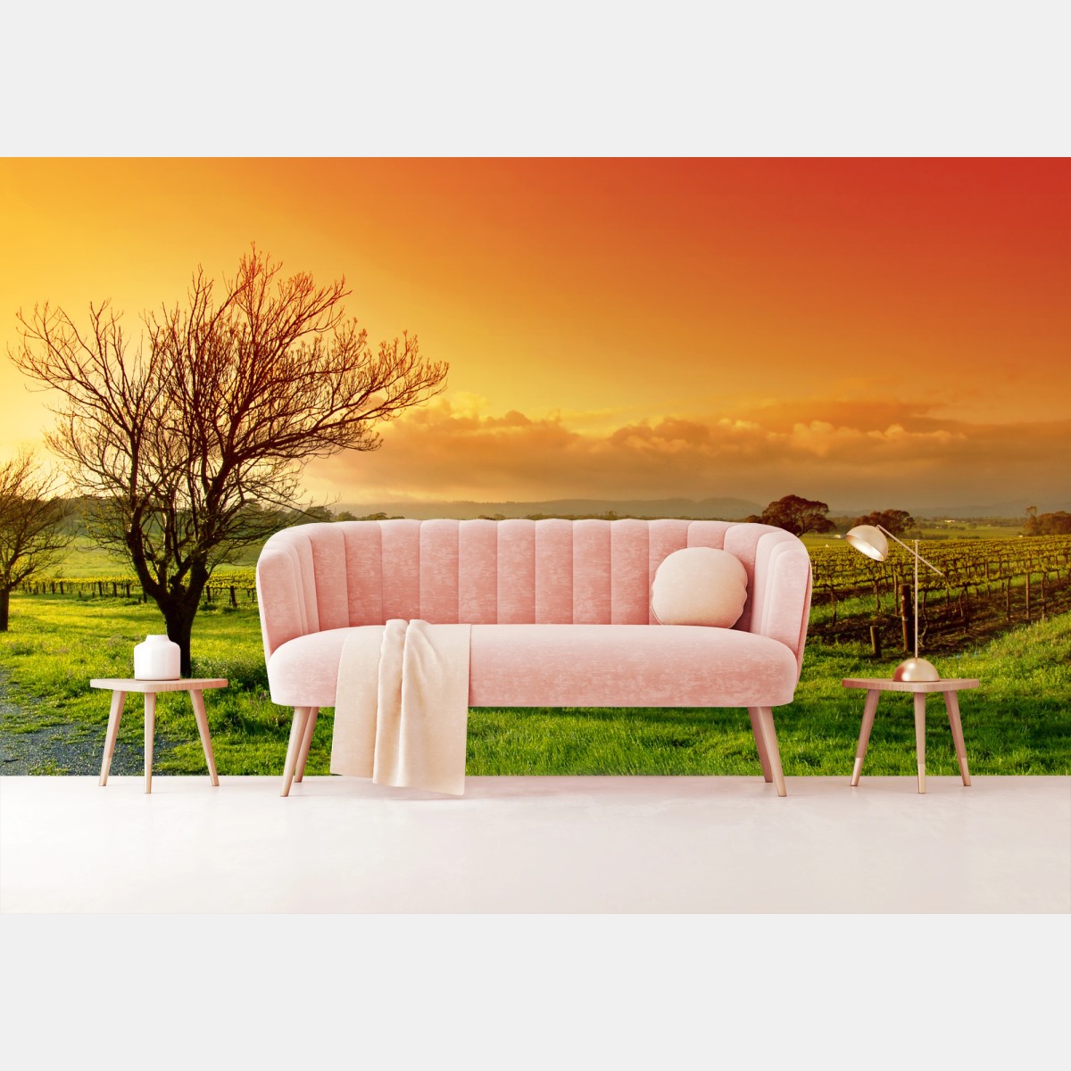 Fototapete sonnenaufgang über dem weinberg – Pixers®