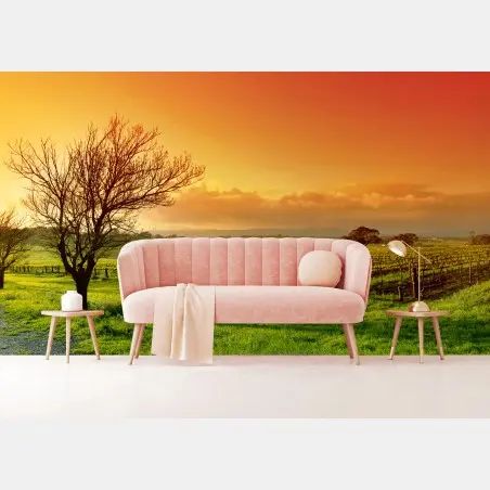 Fototapete sonnenaufgang über dem weinberg – Pixers®