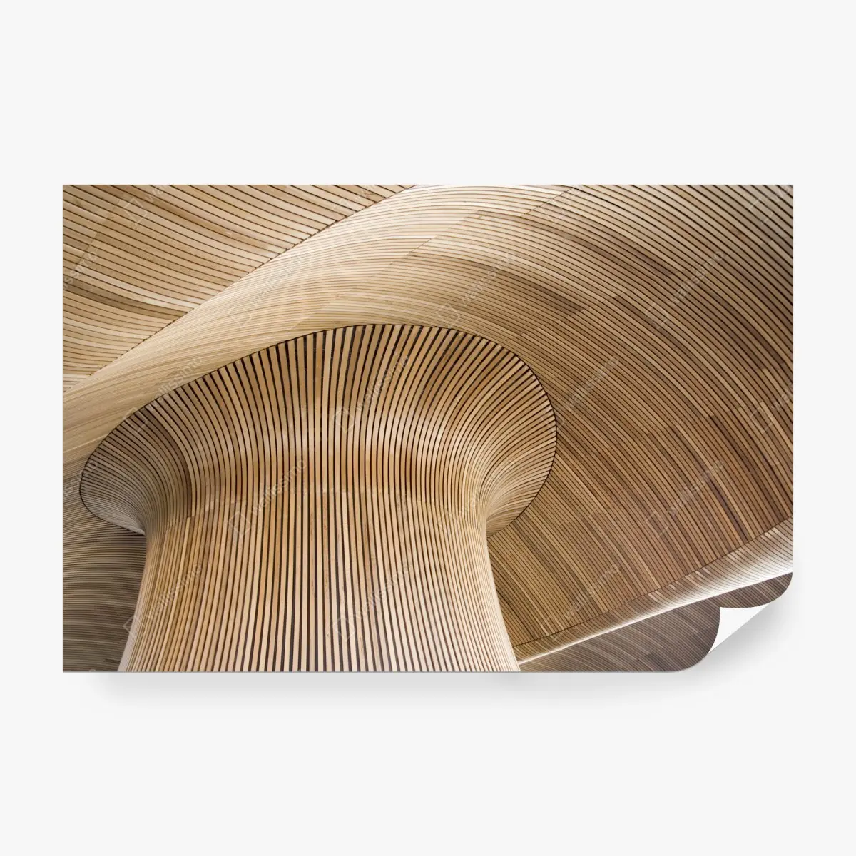 Fototapete skulpturale holzdecke mit wellenform – Pixers®