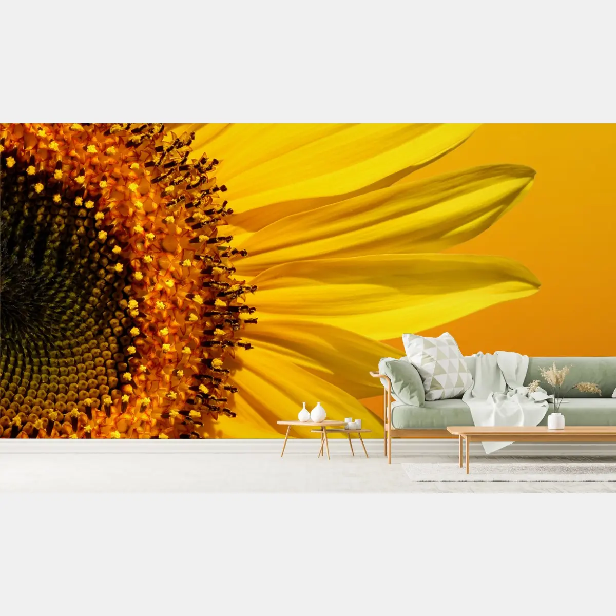 Fototapete leuchtende sonnenblume auf gelbem hintergrund – Pixers®