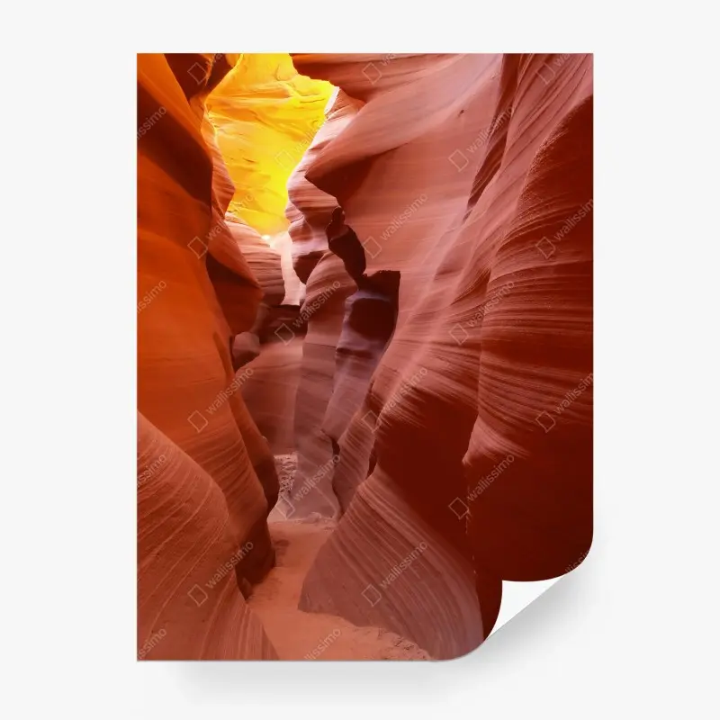 Fototapete sonnenbeleuchtete sandsteinschlucht