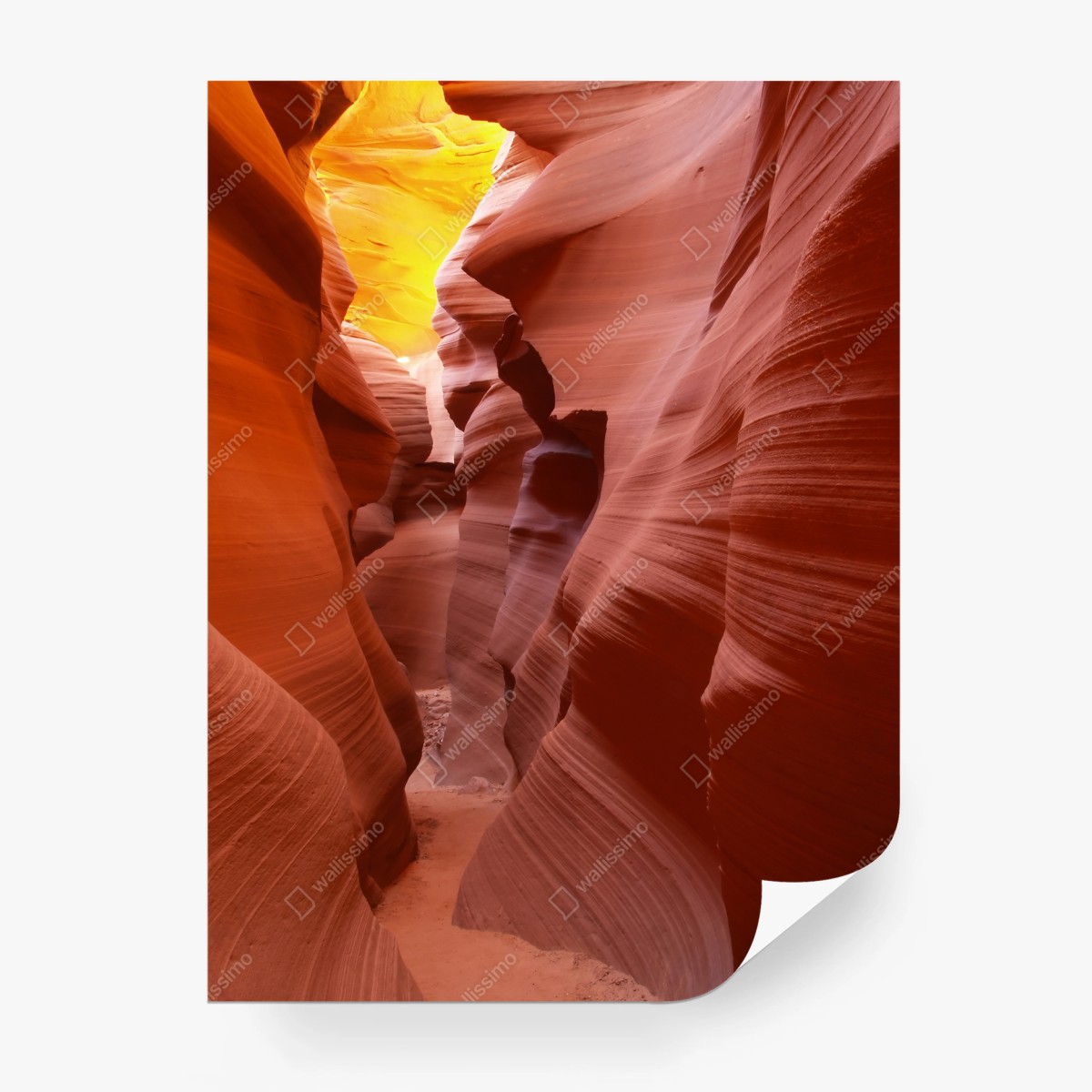 Fototapete sonnenbeleuchtete sandsteinschlucht – Pixers®