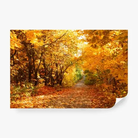 Fototapete goldener herbstweg durch die bäume – Pixers®
