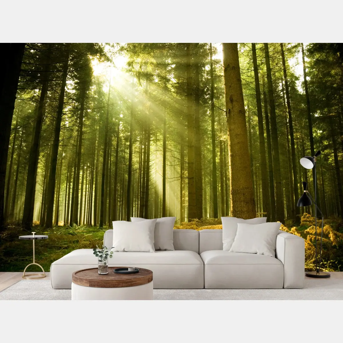 Fototapete sonnenbeschienener kiefernwald – Pixers®