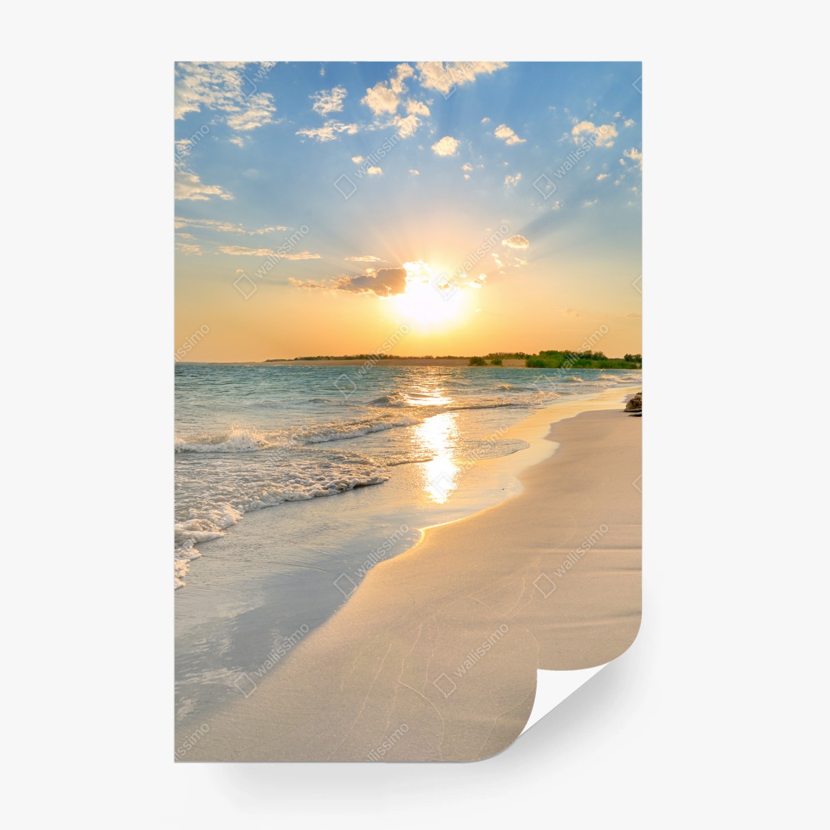 Fototapete sonnenbeschienener strand bei sonnenuntergang – Pixers®