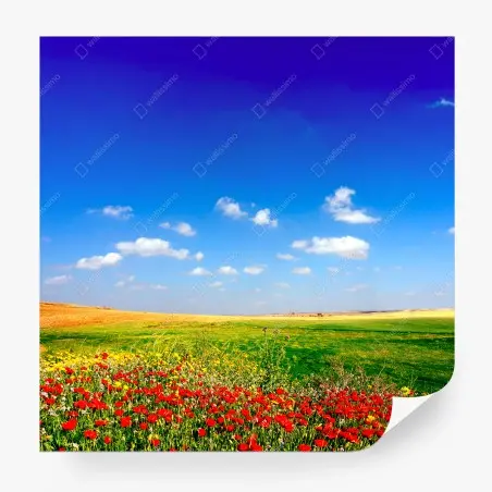 Fototapete lebhafte mohnwiese unter blauem himmel – Pixers®