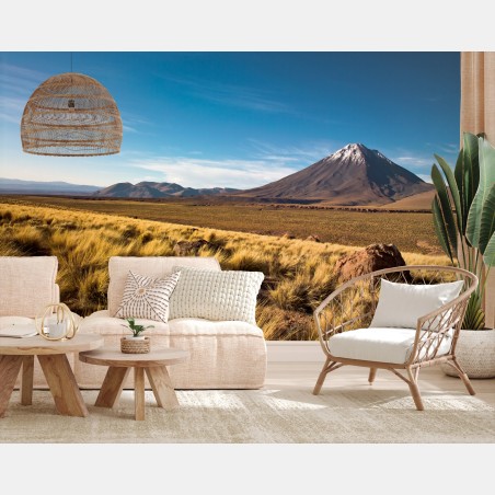 Fototapete Licancabur in der Atacama, Chile – Pixers®