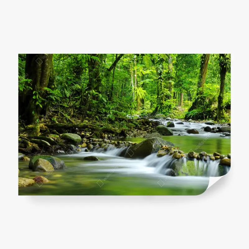 Fototapete ruhiger waldbachlauf
