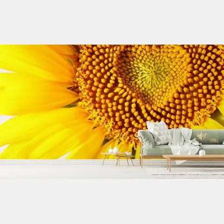 Fototapete sonnenblume mit herzförmiger mitte – Pixers®