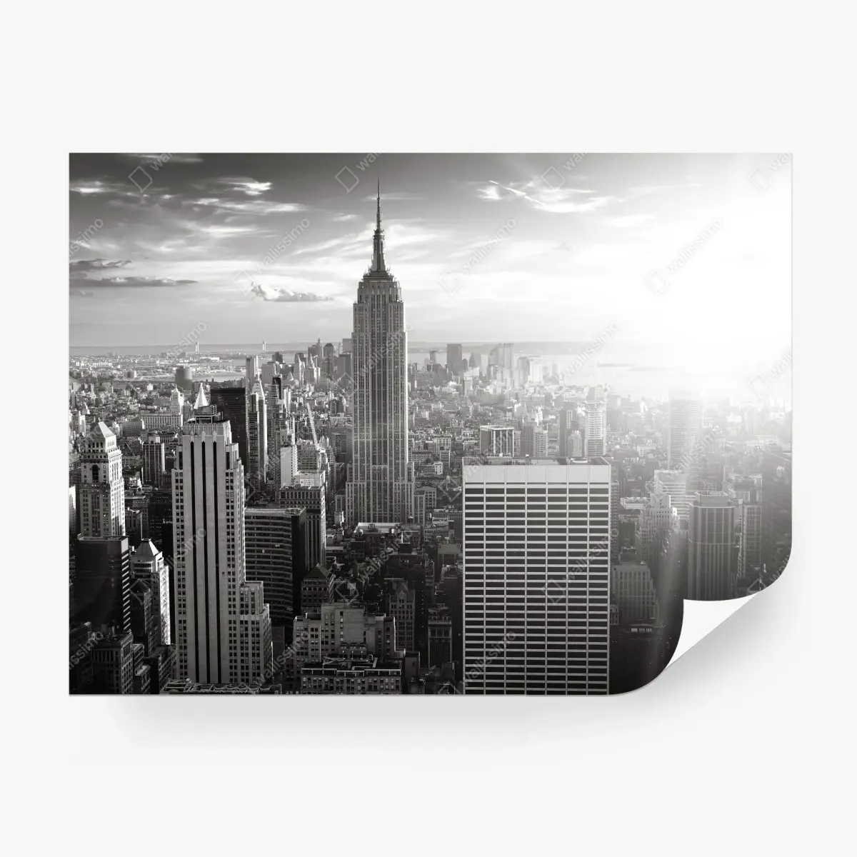 Fototapete schwarzweiß skyline von Manhattan – Pixers®