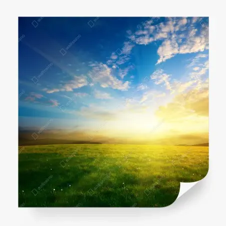 Fototapete sonnige wiese im morgenlicht – Pixers®