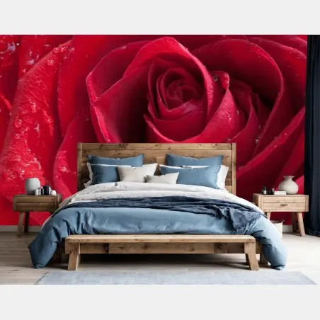 Fototapete rote rose nahaufnahme mit wassertropfen – Pixers®
