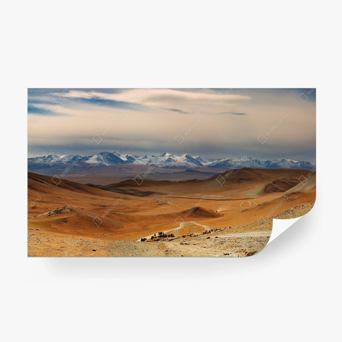 Fototapete weite mongolische steppe mit nomaden und rinderherde – Pixers®