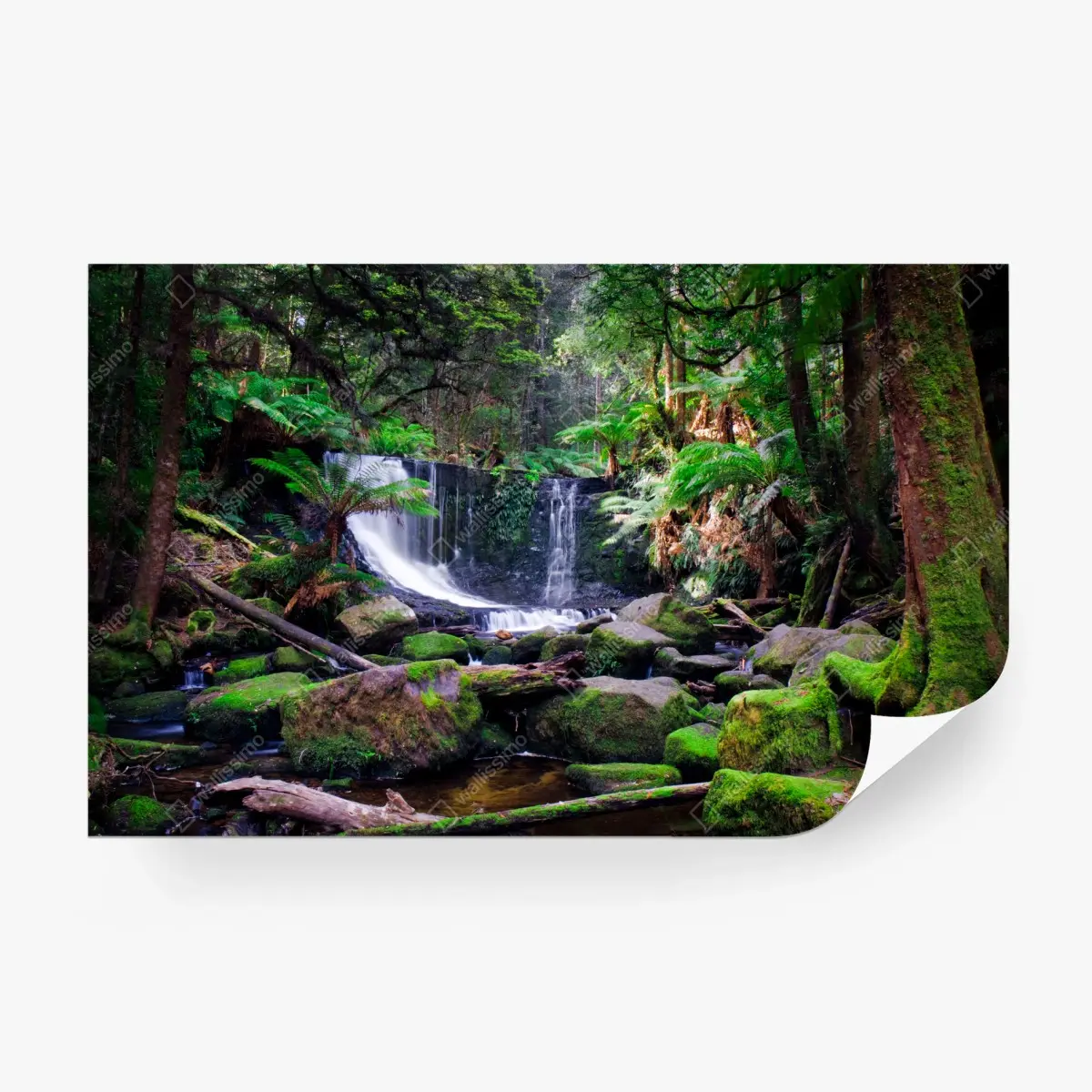 Fototapete moosbedeckter wasserfall im üppigen wald – Pixers®