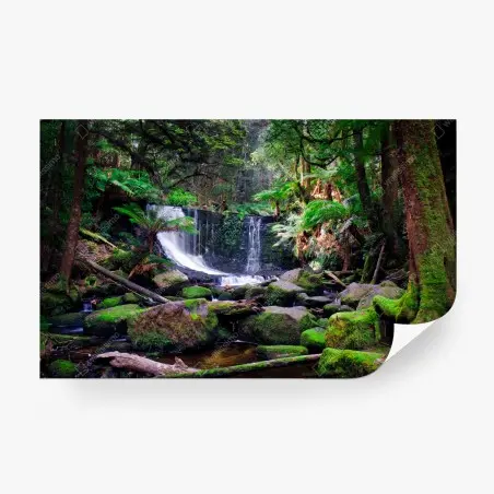 Fototapete moosbedeckter wasserfall im üppigen wald – Pixers®