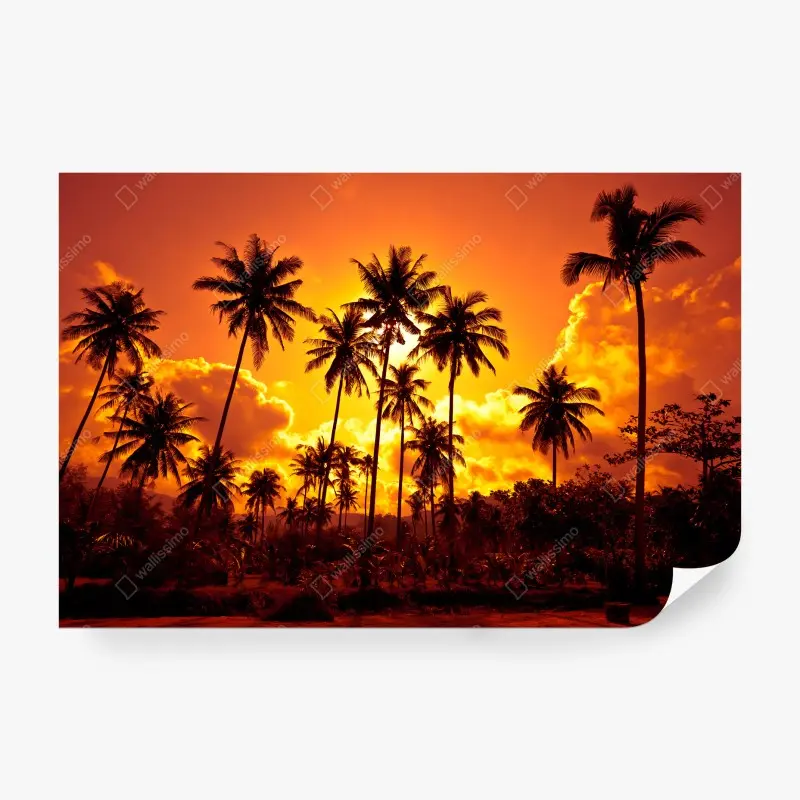 Fototapete tropischer sonnenuntergang mit palmensilhouetten