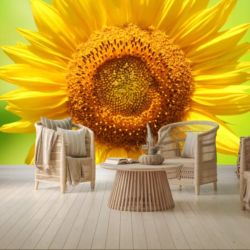 Fototapete leuchtende sonnenblume auf grünem hintergrund