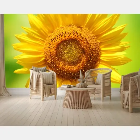 Fototapete leuchtende sonnenblume auf grünem hintergrund – Pixers®