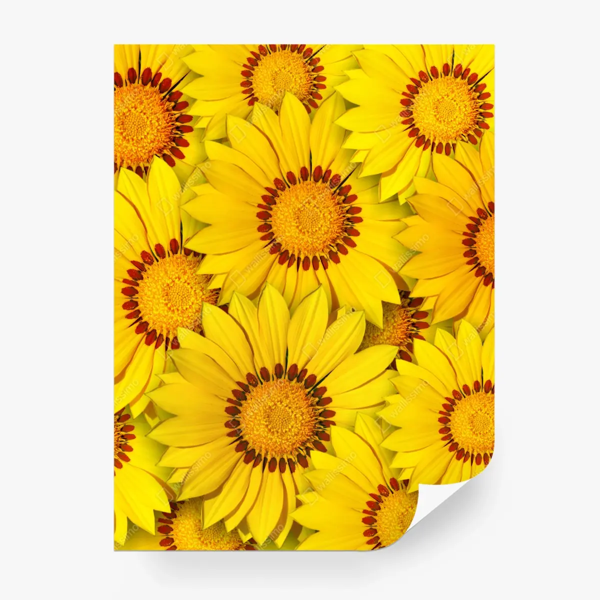 Fototapete leuchtendes gelbes blumenmuster – Pixers®