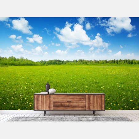 Fototapete sonnige wiese mit löwenzahn und blauem himmel – Pixers®