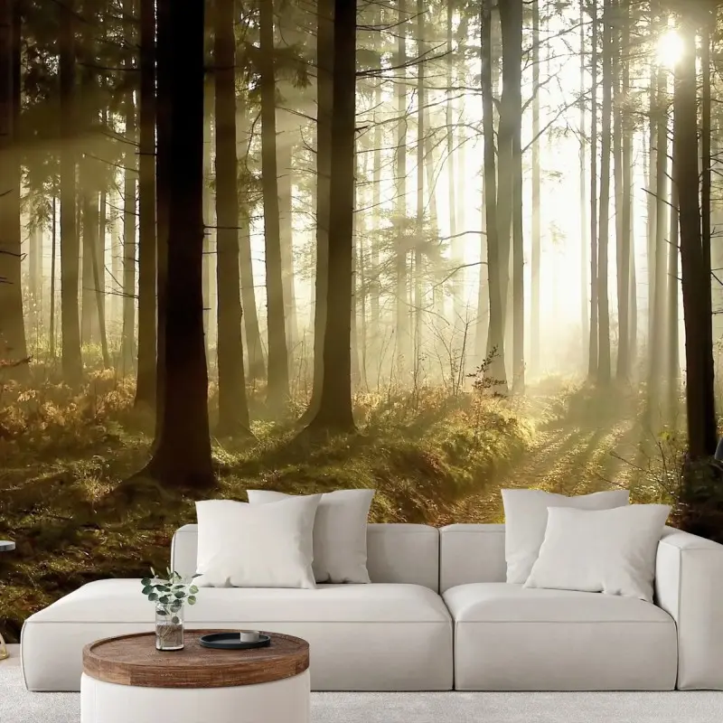 Fototapete sonniger waldpfad im morgennebel