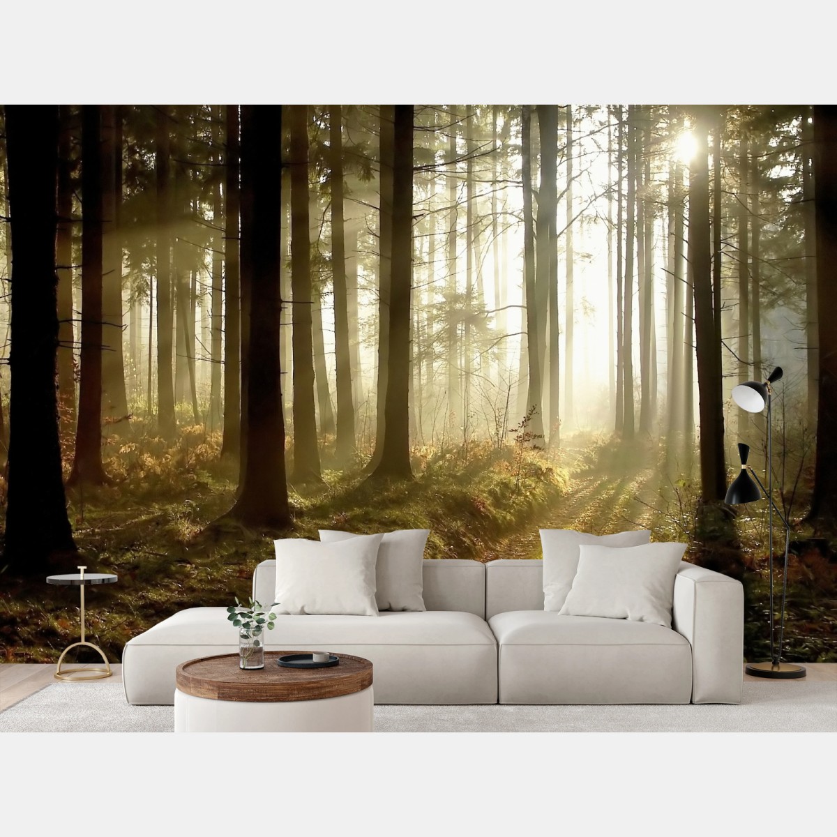 Fototapete sonniger waldpfad im morgennebel – Pixers®