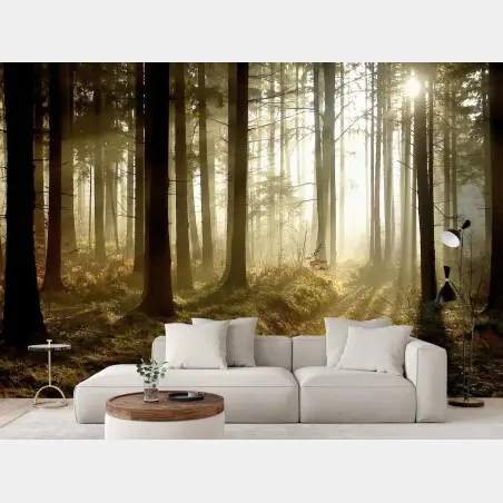 Fototapete sonniger waldpfad im morgennebel – Pixers®