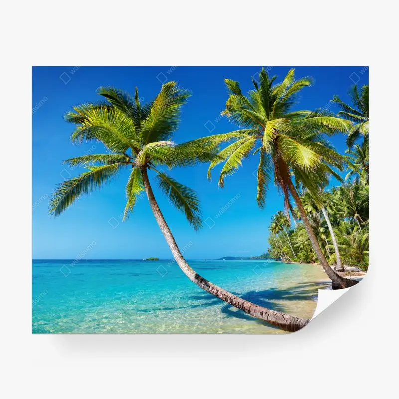 Fototapete tropische palmen auf Kood Island