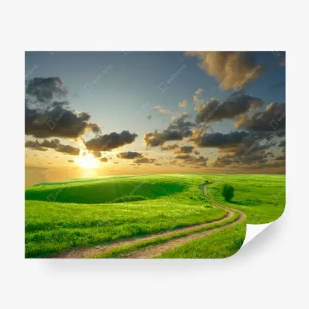 Fototapete sonnenuntergang über geschwungener grüner wiese – Pixers®