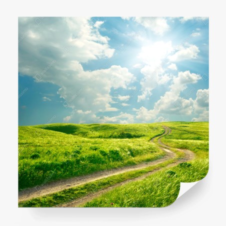 Fototapete sonniger feldweg durch grüne wiese – Pixers®