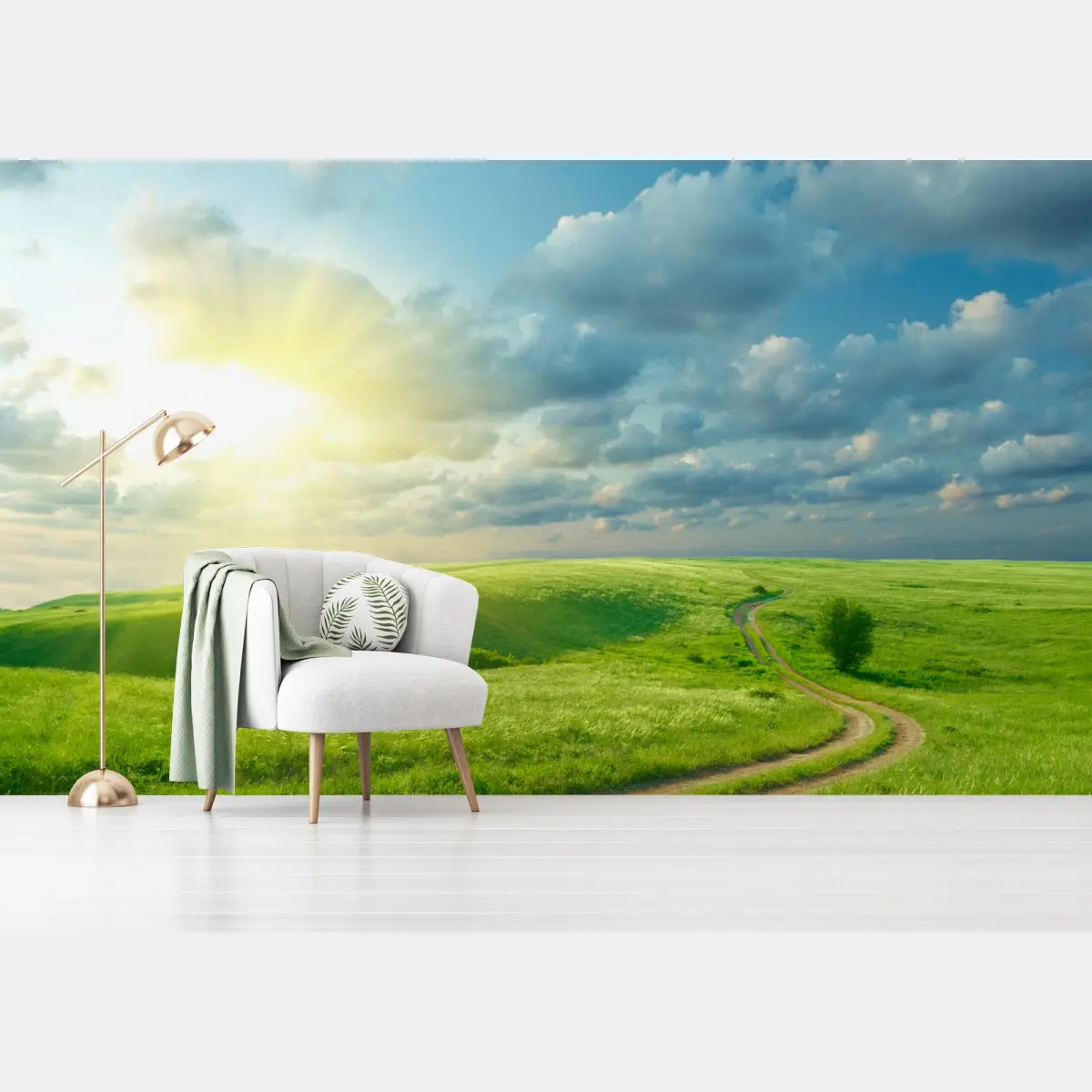 Fototapete sonnige sommerwiese mit geschwungenem weg – Pixers®