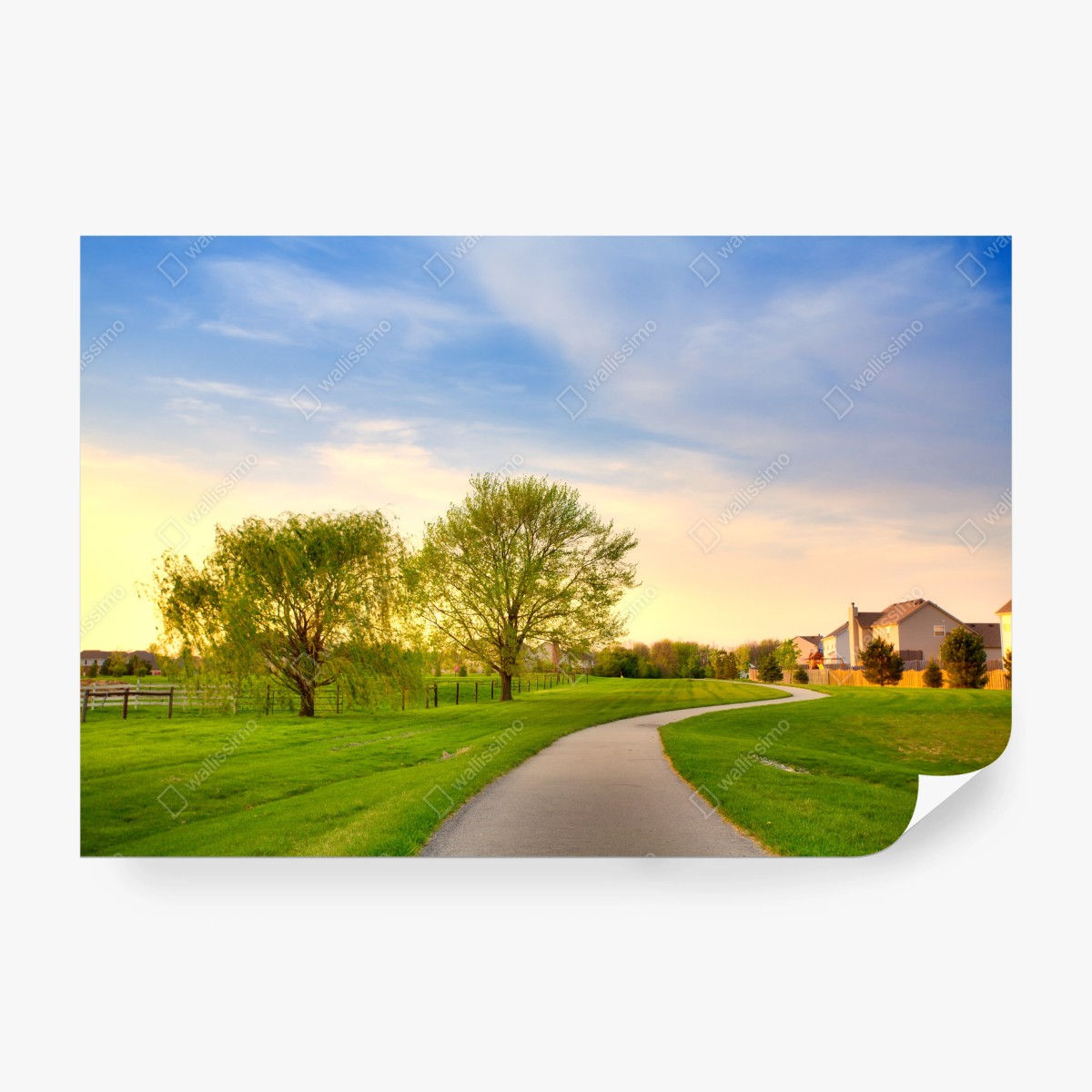 Fototapete ruhiger weg bei sonnenuntergang – Pixers®
