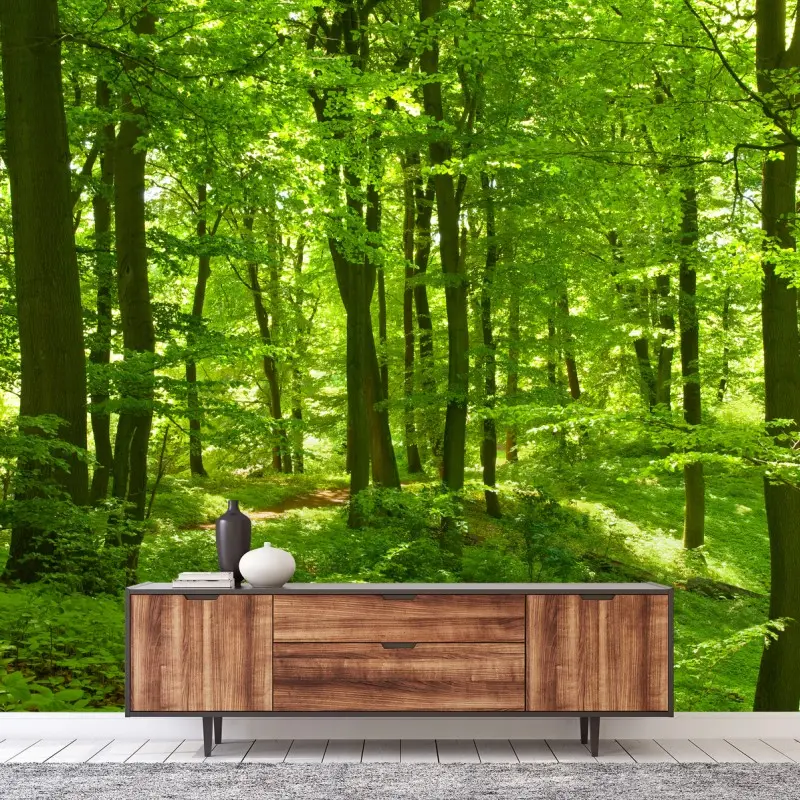 Fototapete üppiger grüner wald