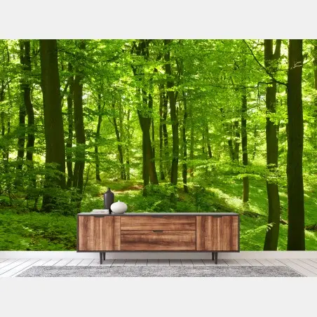 Fototapete üppiger grüner wald – Pixers®