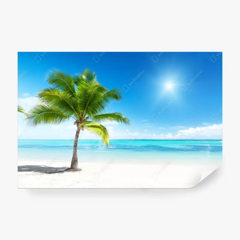 Fototapete tropische palme am türkisfarbenen strand