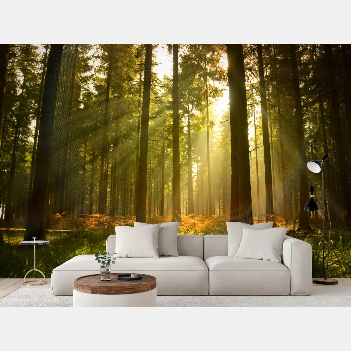 Fototapete goldener wald bei dämmerung – Pixers®