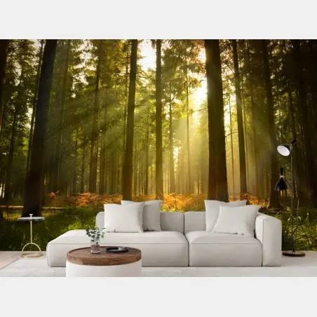 Fototapete goldener wald bei dämmerung – Pixers®