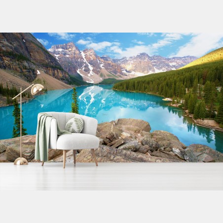 Fototapete türkisblauer bergsee mit kiefernwald – Pixers®